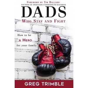 Dads Who Stay and Fight: How to be A Hero for your family (Hardback)