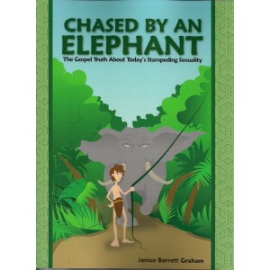 Chased by an Elephant