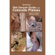 Technical Slot Canyon Guide to the Colorado Plateau Updated 2nd Edition